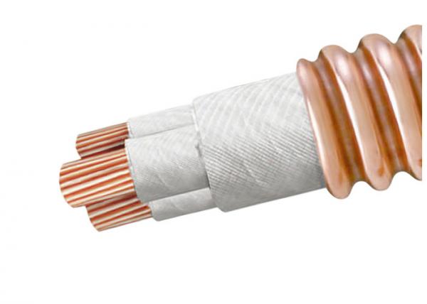 Mineral Insulated Flexible High Temperature Cable BTTZ Series Excellent Shielding Property