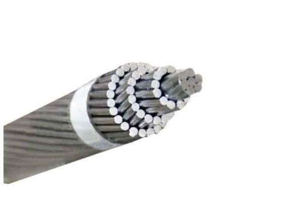 Silver Color AAC All Aluminium Conductor Using In Transmission Lion