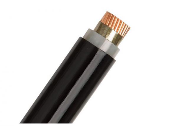  China Single Core Flame Resistant Cable 1.5 – 800sqmm 0.6 / 1kv Iec 60331 60502 supplier