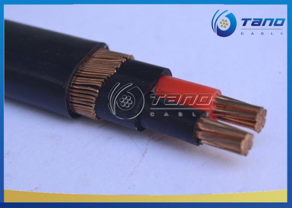 Construction Concentric Pvc Insulated Cable With S8000 Copper / Aluminum Alloy Conductor