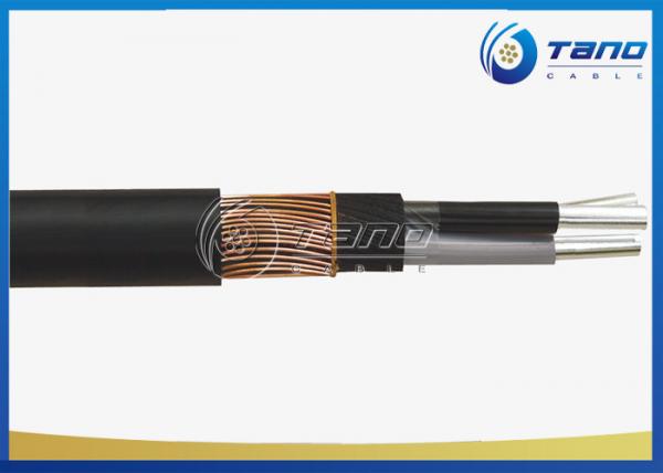 Cu / Al Conductor Concentric Cable Two Cores 8 AWG 6 AWG Heat Insulation