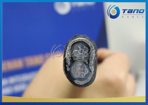 Low Voltage Concentric Neutral Power Cable 0.6 / 1KV Cable 2 3 4 Core ISO Certification