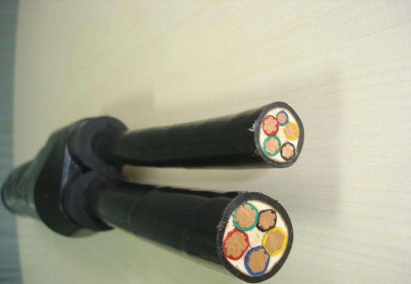 0.6/1KV Prefabricated Branch Cable Flame Resistant For High Building Highway