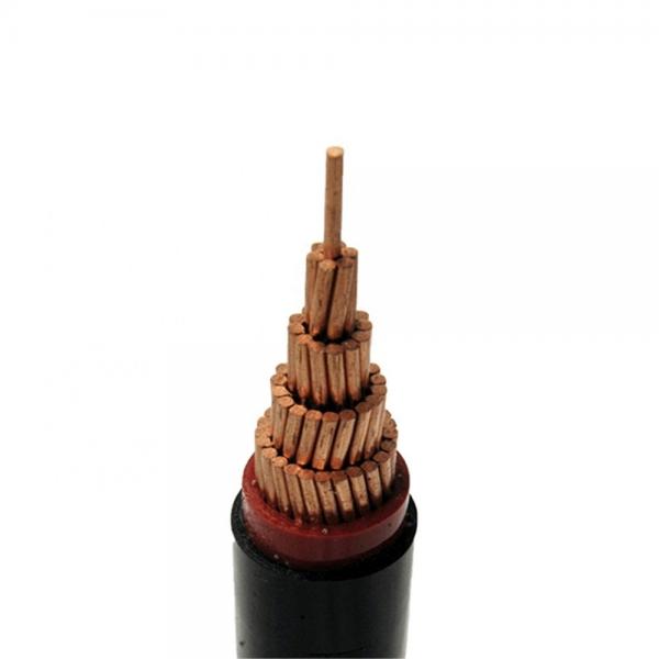  China ASTM 1kV 3 Core Copper Armored XLPE Insulated Cable supplier