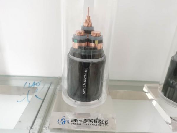  China Pvc Sheath Insulated Armored 1kv Xlpe Electrical Cable supplier