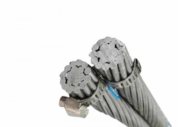  China Twin AAAC Bare Conductor All Aluminum Alloy 1350-H19 Wires ASTMB399 supplier