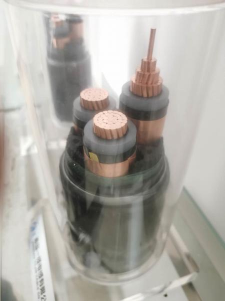  China Underground PVC Sheath Armored XLPE Insulated Cable supplier