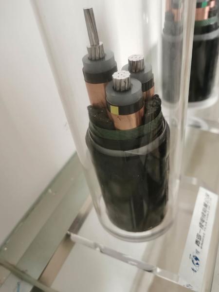  China Wire Armoring 0.7mm Insulation Thickness XLPE Insulated Cable supplier