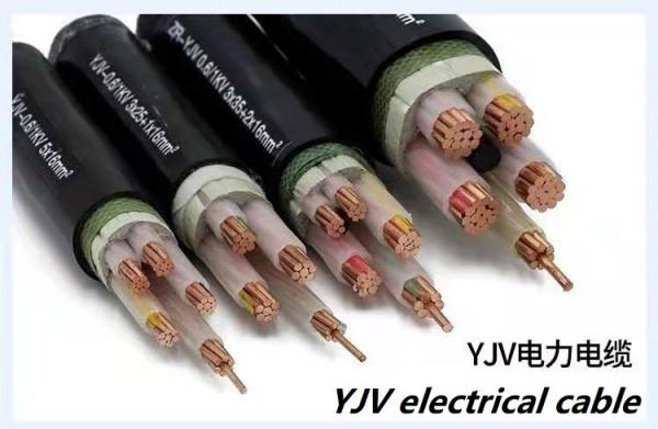 YJV PVC Sheath Electrical Power Cable XLPE Insulated Armored Cable Medium Voltage