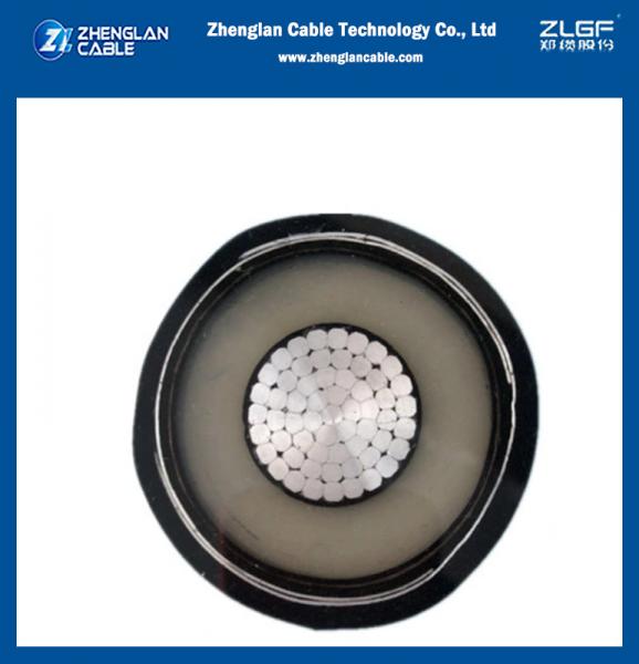  China 0.6/1KV low voltage single core 1x120sqmm XLPE Insulated PV/PE Sheathed Unarmored Cable Cu(AL)/XLPE/PVC IEC 60502-1 supplier
