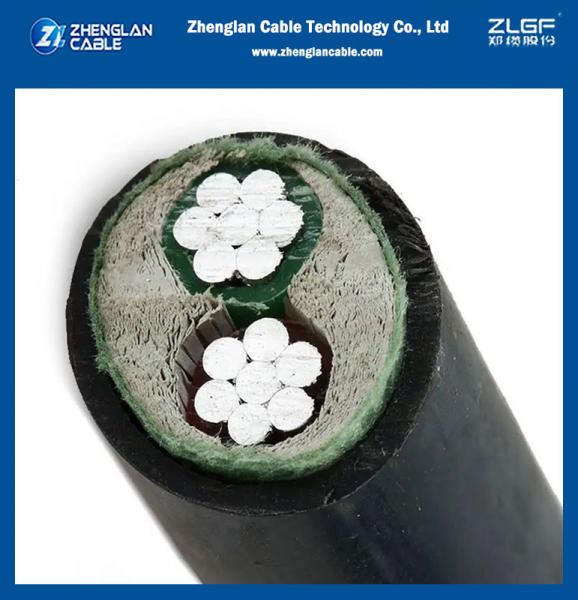 0.6/1kv PVC Insulated Aluminum Cable Flame Retardant Power Cable 2x16mm2