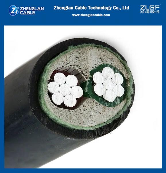 1kv Aluminum Power Cable Unarmored PVC Sheathed 2x10mm2 IEC60502-1 IEC60332-1