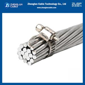  China AAC Tulip Bare Aluminum Conductor H1350 Overhead Bare 336.4MCM supplier