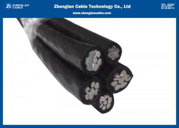  China AL/XLPE With AAAC / XLPE Covered Neutral Supported Cable supplier