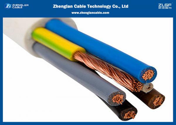  China Class 5 Building Wire And Cable with PVC Insulated Non – Sheathed / Voltage size: 300/500V supplier