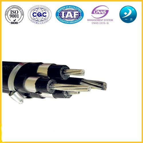 24 Kv Three Phase Single Phase AL XLPE MV Underground Power Cables with Aluminum Plastic Tape Shielded