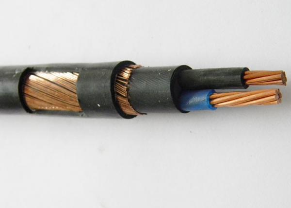 3 / 6 AWG Concentric Cable SER SEU Copper Conductor Cable For Service Entrance