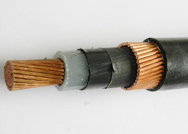 AL Or Copper Conductor Concentric Cable 2x6mm2 2x10mm2 Black Color