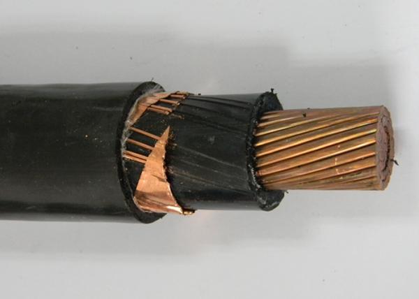 Cu or Al Conductor Medium Voltage Power Cables 5KV to 46KV N2XSY N2XSEY