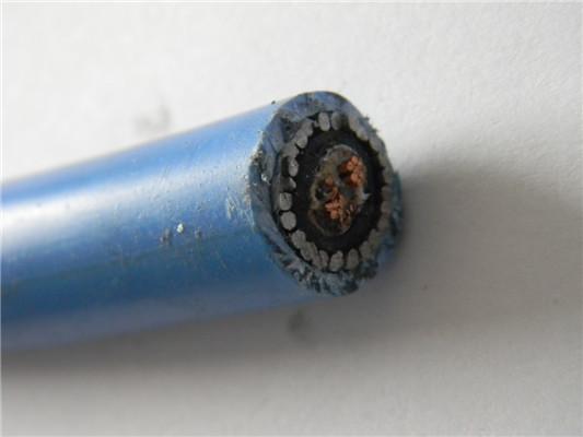 Data And Computer Stranded Tinned Copper Wire Cable CU / PE / PVC 2x2x1mm2