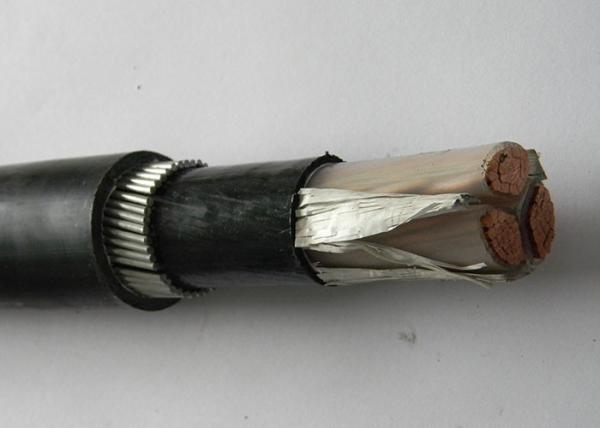 Galvanized Steel Wire 2.5 Mm 2 Core Armoured Cable XLPE Insulated 600V / 1000V