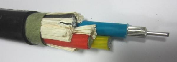  China Multi Core Low Voltage Power Cable U-1000 AR2V / ARO2V Xlpe Aluminium Cable supplier