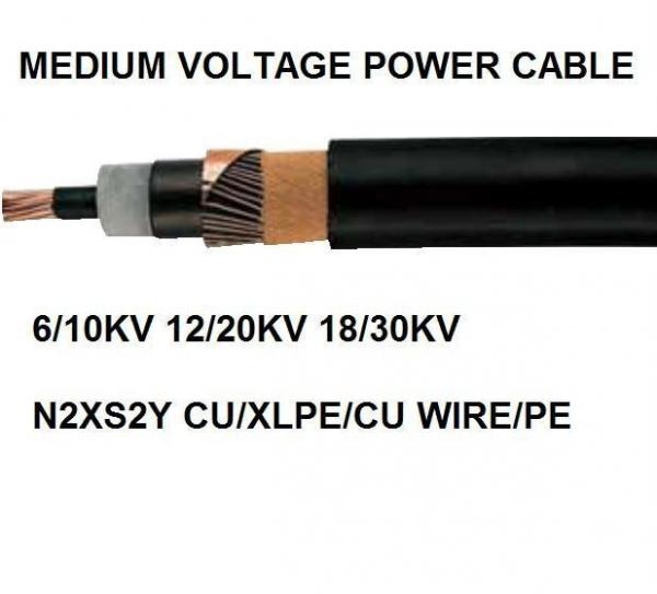 PVC Or PE Sheath Medium Voltage Power Cables , Armoured Electrical Cable N2XS(F)2Y