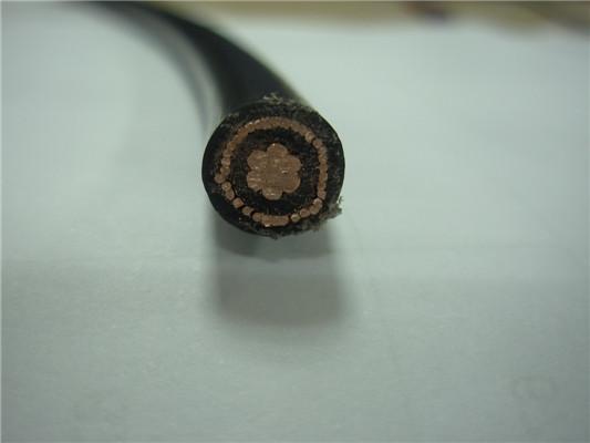 PVC / PE Sheath CNE SNE Concentric Cable / Low Voltage Armored Cable