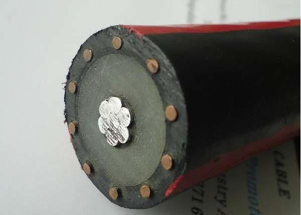 Single Core Medium Voltage Power Cables / 5 Kv Non Shielded Cable XLPE Insulated