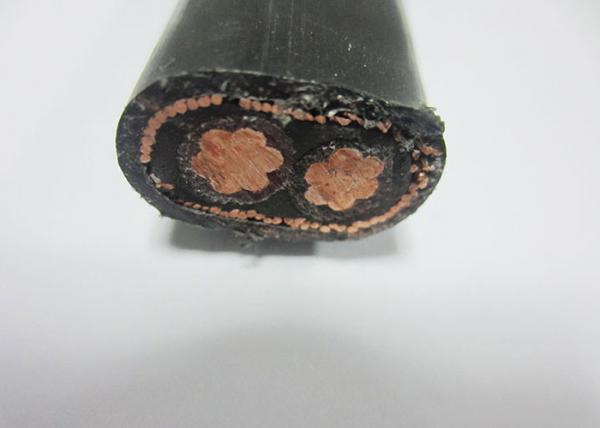 XLPE Insulation Flat Concentric Cable 600V / 1000V Copper Conductor