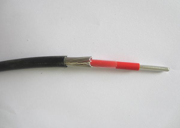 XLPE Insulation HDPE Sheath Concentric Cable 1000V Aluminum / Copper Conductor